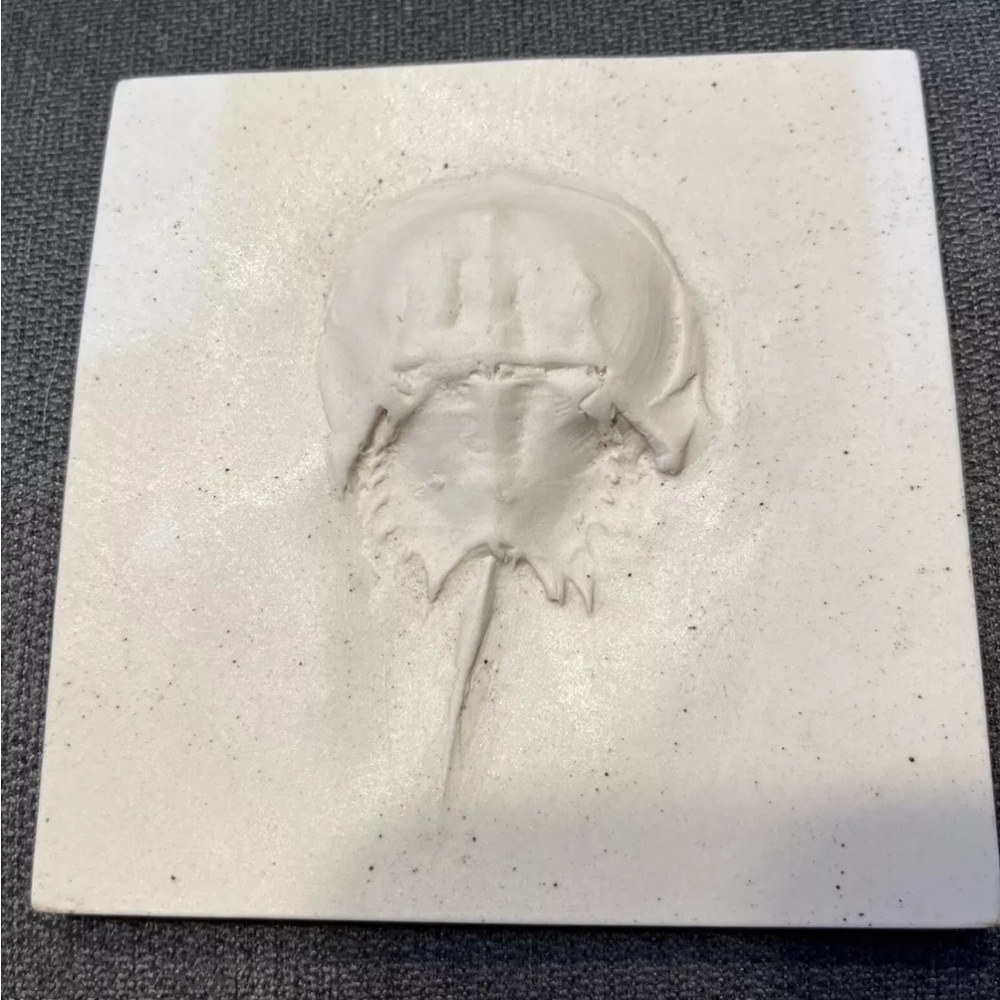 White Ceramic Tile with Embossed Design